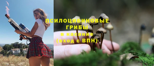 ALPHA PVP Каменногорск