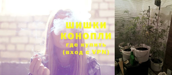 ALPHA PVP Каменногорск