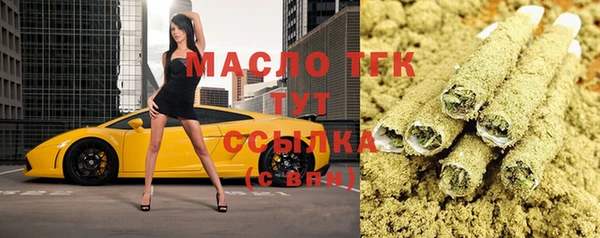 стаф Касимов