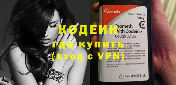 стаф Касимов