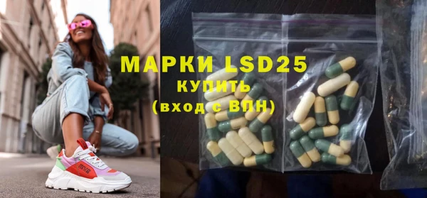 PSILOCYBIN Карталы