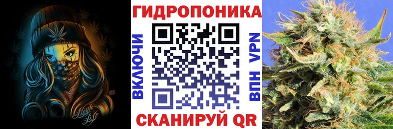 Бошки Шишки White Widow  ссылка на мегу tor  Мамоново  дарнет шоп 